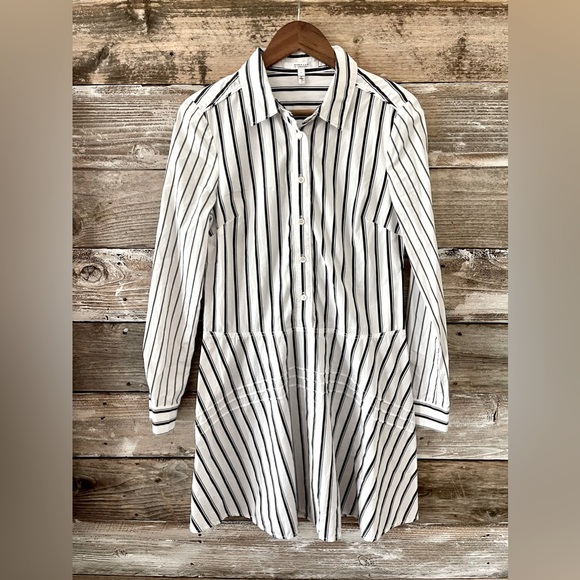 10 Crosby Derek Lam Dresses & Skirts - DEREK LAM 10 CROSBY- Striped Long Sleeve Mini Shirt Dress